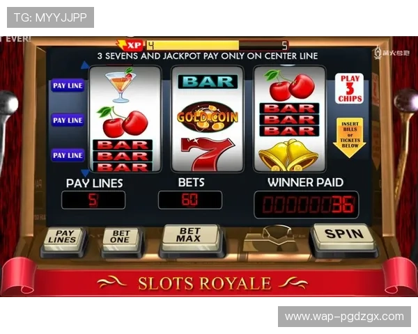 PG电子老虎机游戏玩法详解让你轻松掌握赢取大奖的秘诀